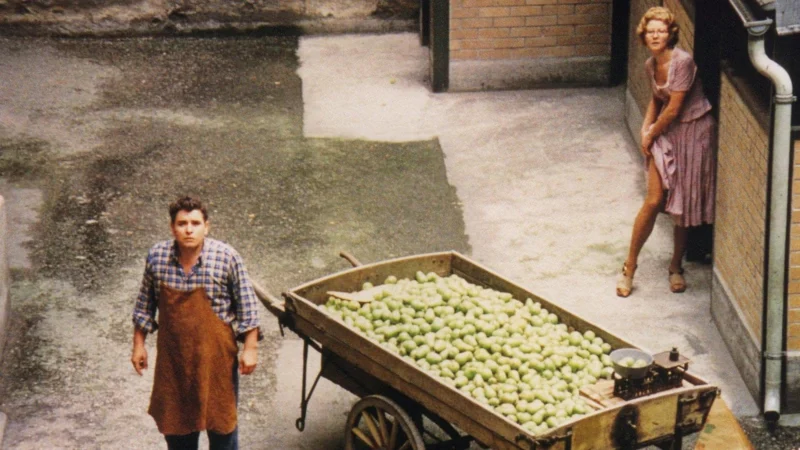 Bốn Mùa Đẩy Xe - The Merchant of Four Seasons